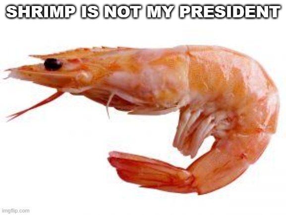 Shrimply | SHRIMP IS NOT MY PRESIDENT | image tagged in shrimply | made w/ Imgflip meme maker