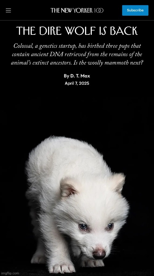 Return of the dire wolf.mp3 | made w/ Imgflip meme maker