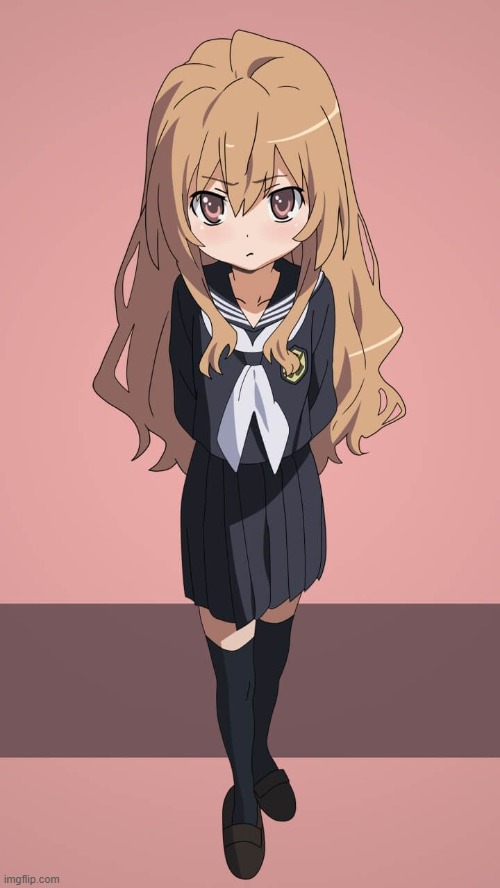 Taiga aisaka | image tagged in taiga aisaka | made w/ Imgflip meme maker