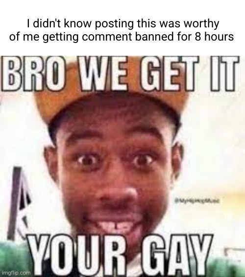 I get it guys I'm homophobic | I didn't know posting this was worthy of me getting comment banned for 8 hours | image tagged in bro we get it your gay | made w/ Imgflip meme maker