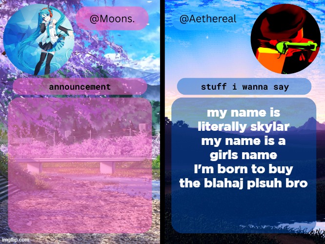 moons. and aethereal shared temp | my name is literally skylar
my name is a girls name
I'm born to buy the blahaj plsuh bro | image tagged in moons and aethereal shared temp | made w/ Imgflip meme maker