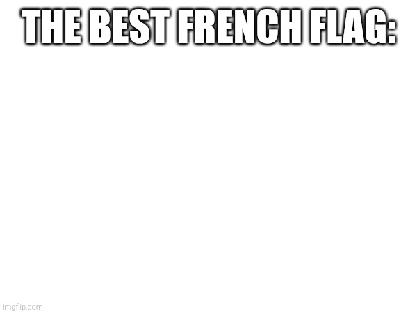 THE BEST FRENCH FLAG: | made w/ Imgflip meme maker