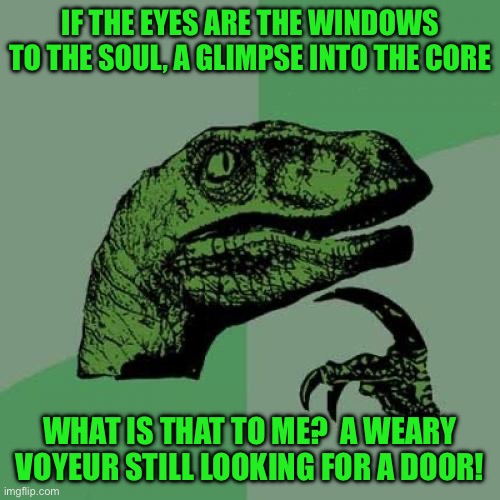 Philosoraptor | IF THE EYES ARE THE WINDOWS TO THE SOUL, A GLIMPSE INTO THE CORE; WHAT IS THAT TO ME?  A WEARY VOYEUR STILL LOOKING FOR A DOOR! | image tagged in memes,philosoraptor | made w/ Imgflip meme maker
