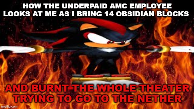 shadow the hege | HOW THE UNDERPAID AMC EMPLOYEE LOOKS AT ME AS I BRING 14 OBSIDIAN BLOCKS; AND BURNT THE WHOLE THEATER TRYING TO GO TO THE NETHER | image tagged in shadow the hege | made w/ Imgflip meme maker
