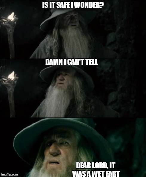 Confused Gandalf Meme | IS IT SAFE I WONDER? DEAR LORD, IT WAS A WET FART DAMN I CAN'T TELL | image tagged in memes,confused gandalf | made w/ Imgflip meme maker