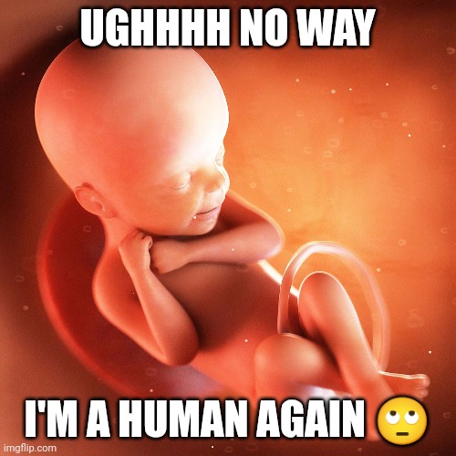 White Male Erasure Feminist Fetus | UGHHHH NO WAY; I'M A HUMAN AGAIN 🙄 | image tagged in feminism | made w/ Imgflip meme maker