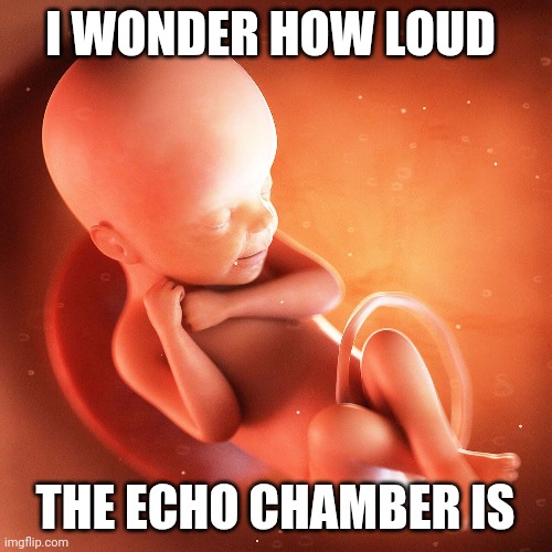 White Male Erasure Feminist Fetus | I WONDER HOW LOUD; THE ECHO CHAMBER IS | image tagged in feminism | made w/ Imgflip meme maker