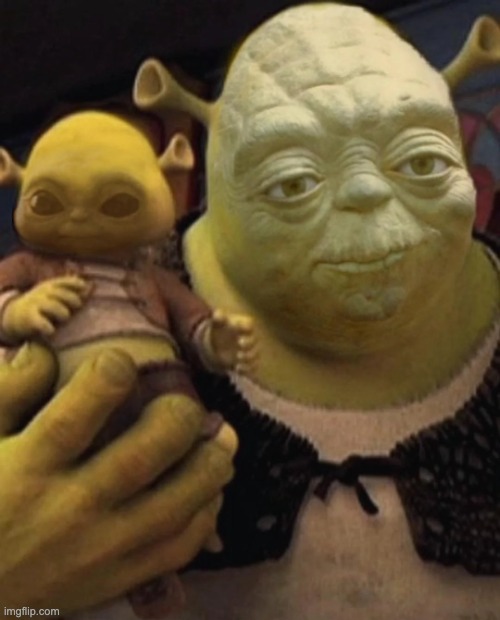 shroda and shrogu | image tagged in shroda and shrogu | made w/ Imgflip meme maker