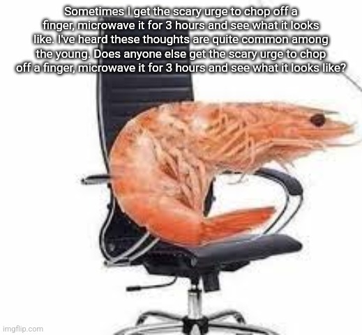 chair shrimp | Sometimes I get the scary urge to chop off a finger, microwave it for 3 hours and see what it looks like. I've heard these thoughts are quite common among the young. Does anyone else get the scary urge to chop off a finger, microwave it for 3 hours and see what it looks like? | image tagged in chair shrimp | made w/ Imgflip meme maker