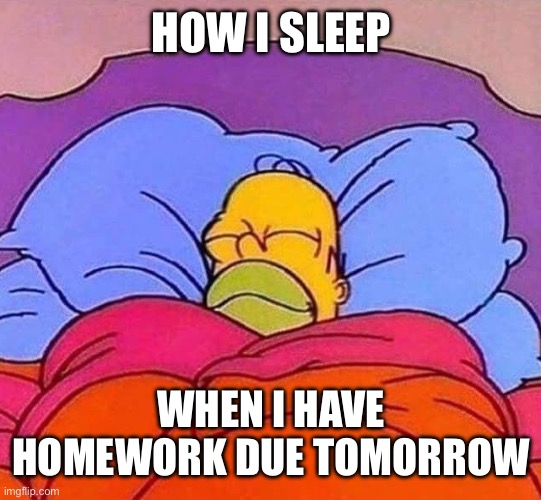 hm | HOW I SLEEP; WHEN I HAVE HOMEWORK DUE TOMORROW | image tagged in homer simpson sleeping peacefully,school | made w/ Imgflip meme maker