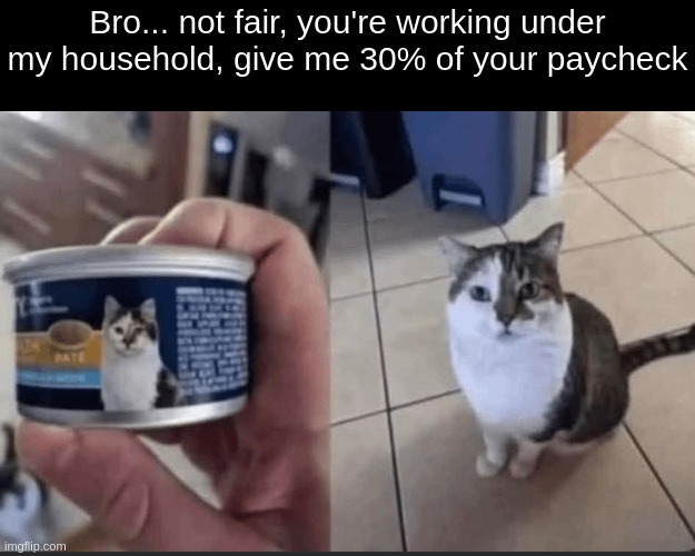 Bro... not fair, you're working under my household, give me 30% of your paycheck | made w/ Imgflip meme maker