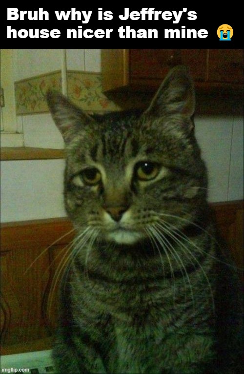 Depressed Cat | Bruh why is Jeffrey's house nicer than mine 😭 | image tagged in memes,depressed cat | made w/ Imgflip meme maker