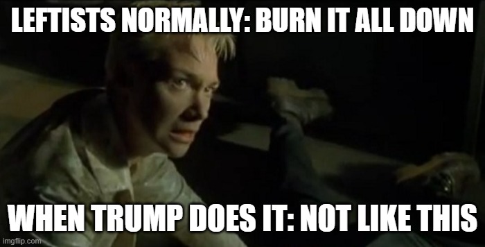 Not like this matrix | LEFTISTS NORMALLY: BURN IT ALL DOWN; WHEN TRUMP DOES IT: NOT LIKE THIS | image tagged in not like this matrix | made w/ Imgflip meme maker