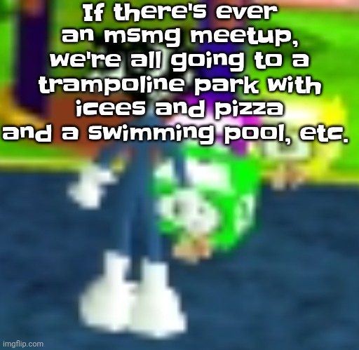 QUH??? | If there's ever an msmg meetup, we're all going to a trampoline park with icees and pizza and a swimming pool, etc. | image tagged in quh | made w/ Imgflip meme maker