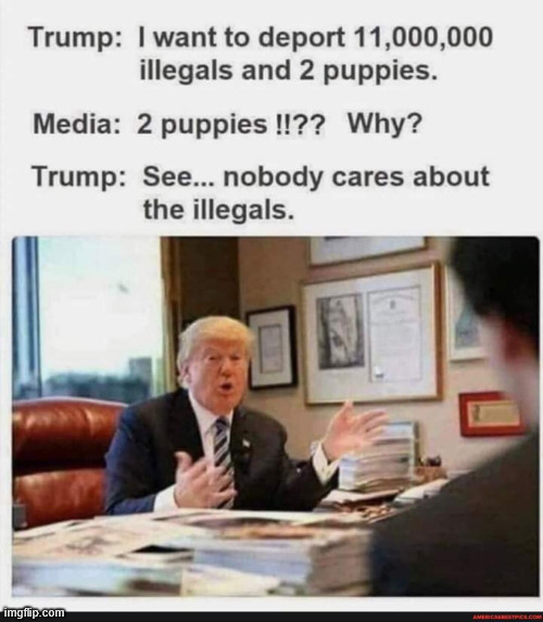 9q2qzv.jpg