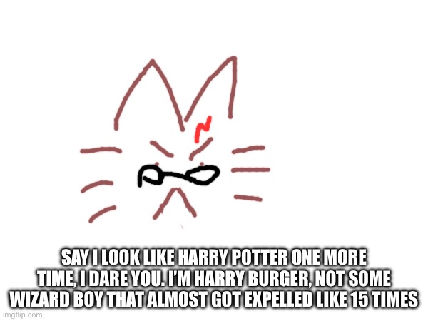 SAY I LOOK LIKE HARRY POTTER ONE MORE TIME, I DARE YOU. I’M HARRY BURGER, NOT SOME WIZARD BOY THAT ALMOST GOT EXPELLED LIKE 15 TIMES | made w/ Imgflip meme maker