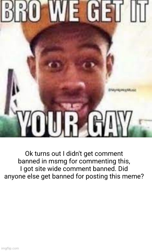 bro we get it, the site mods are gay | Ok turns out I didn't get comment banned in msmg for commenting this, I got site wide comment banned. Did anyone else get banned for posting this meme? | image tagged in bro we get it your gay,blank white template | made w/ Imgflip meme maker