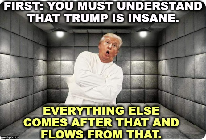Trump insane asylum padded cell strait jacket senile crazy | FIRST: YOU MUST UNDERSTAND THAT TRUMP IS INSANE. EVERYTHING ELSE 
COMES AFTER THAT AND 
FLOWS FROM THAT. | image tagged in trump insane asylum padded cell strait jacket senile crazy,trump,insane,asylum,strait jacket,out of his mind | made w/ Imgflip meme maker