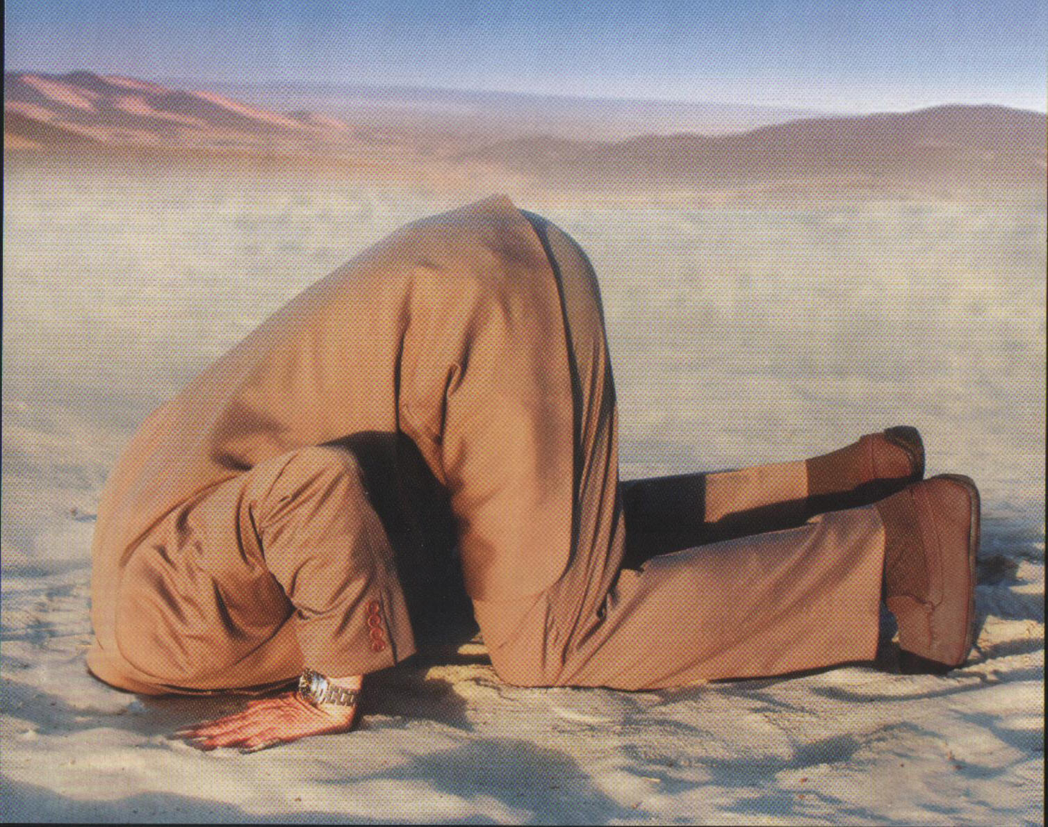 Ostrich sand head Blank Meme Template