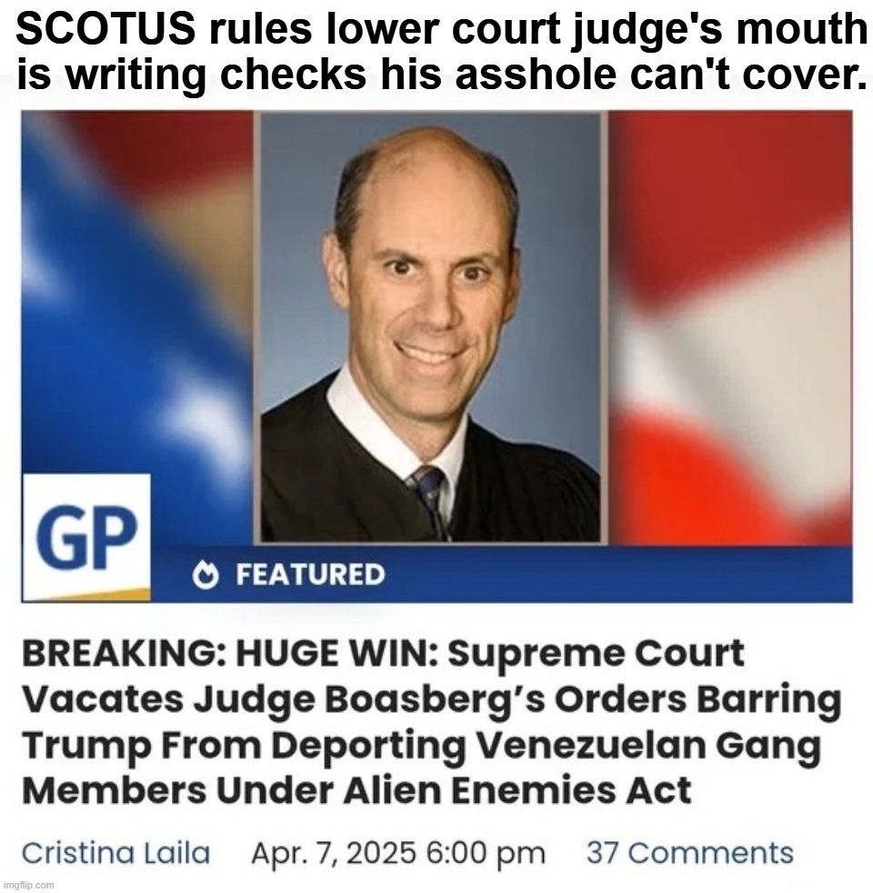 SCOTUS rules lower court judge has shit for brains. | image tagged in scotus,shit for brains,liberal,judge,stupid people be like,liberals | made w/ Imgflip meme maker