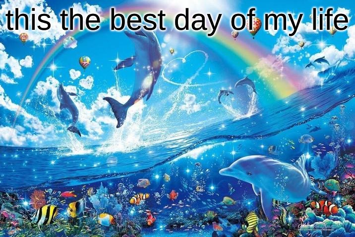 bigjim really doing god's work | this the best day of my life | image tagged in happy dolphin rainbow | made w/ Imgflip meme maker