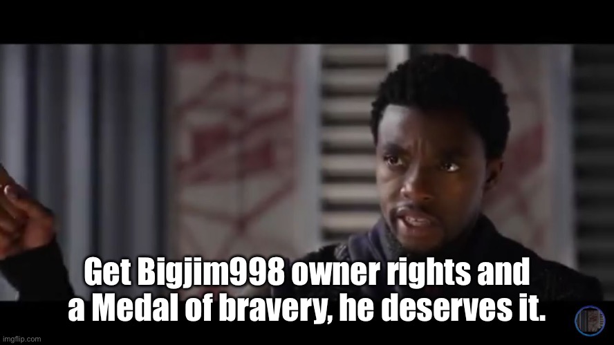 HE DESERVES Ws IN THE CHAT! | Get Bigjim998 owner rights and a Medal of bravery, he deserves it. | image tagged in black panther - get this man a shield | made w/ Imgflip meme maker