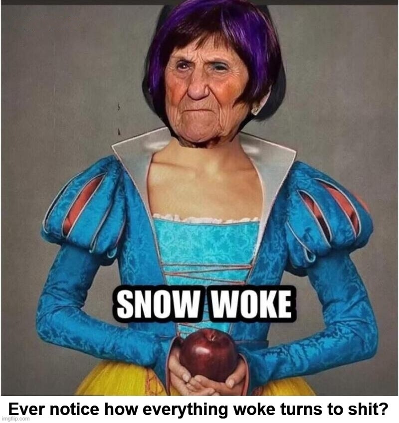 Ever notice how everything woke turns to shit? | image tagged in woke,shitpost,ew i stepped in shit,fuck this shit,aw shit here we go again,shit for brains | made w/ Imgflip meme maker