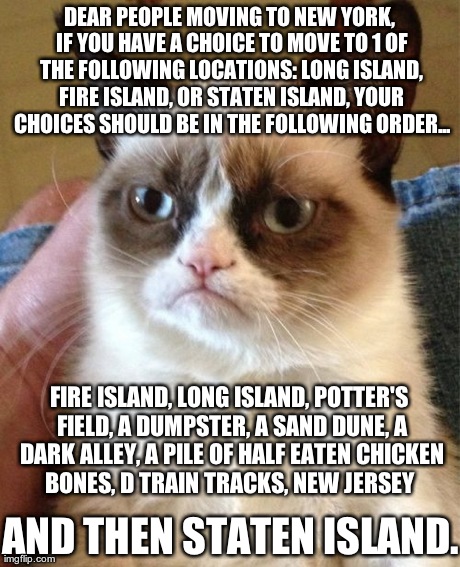 Grumpy Cat Meme | DEAR PEOPLE MOVING TO NEW YORK, IF YOU HAVE A CHOICE TO MOVE TO 1 OF THE FOLLOWING LOCATIONS: LONG ISLAND, FIRE ISLAND, OR STATEN ISLAND, YO | image tagged in memes,grumpy cat | made w/ Imgflip meme maker