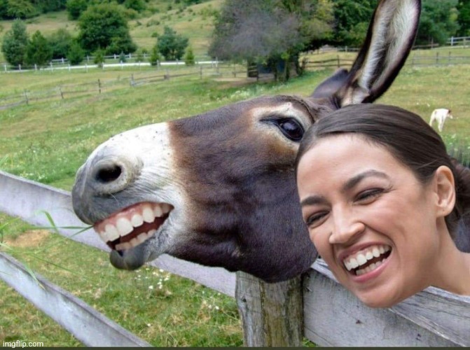 AOC Donkey | image tagged in aoc donkey | made w/ Imgflip meme maker