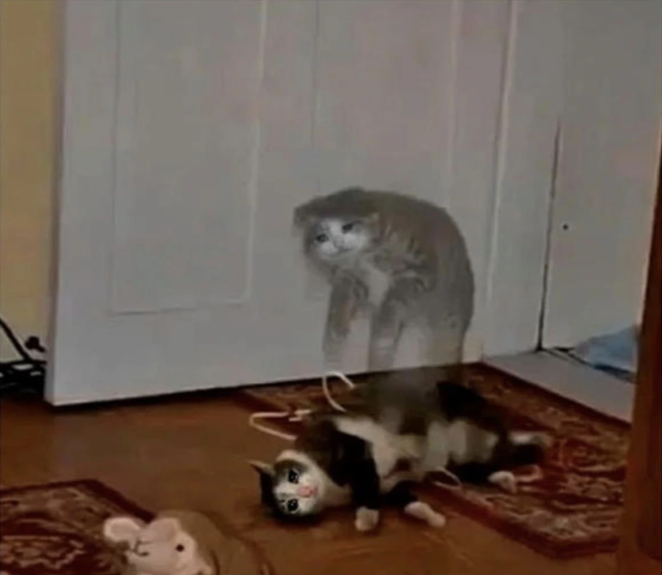 sad cat ghost Blank Meme Template