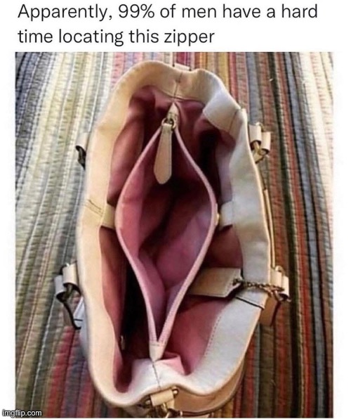 Gotta have a handbag | image tagged in handbag,bag,zipper | made w/ Imgflip meme maker