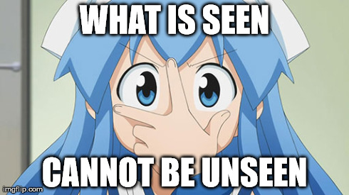 Squid Girl "What is seen cannot be unseen" | WHAT IS SEEN CANNOT BE UNSEEN | image tagged in anime,animeme | made w/ Imgflip meme maker