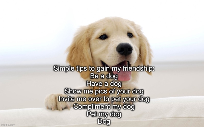Dogs | Simple tips to gain my friendship:
Be a dog
Have a dog
Show me pics of your dog
Invite me over to pet your dog
Compliment my dog
Pet my dog
Dog | image tagged in cute dog idiot,friendship,dog | made w/ Imgflip meme maker