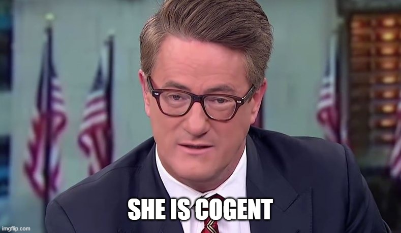 Morning Joe | SHE IS COGENT | image tagged in morning joe | made w/ Imgflip meme maker