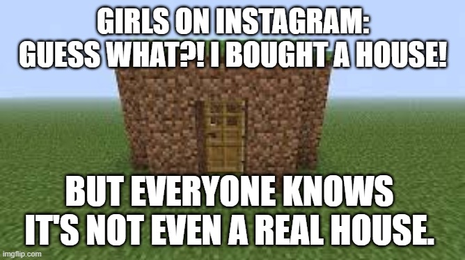 affordable range | GIRLS ON INSTAGRAM: GUESS WHAT?! I BOUGHT A HOUSE! BUT EVERYONE KNOWS IT'S NOT EVEN A REAL HOUSE. | image tagged in minecraft | made w/ Imgflip meme maker