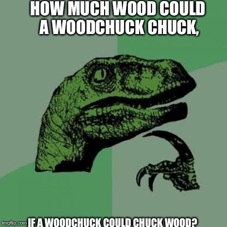 Philosoraptor | HOW MUCH WOOD COULD A WOODCHUCK CHUCK, IF A WOODCHUCK COULD CHUCK WOOD? | image tagged in memes,philosoraptor | made w/ Imgflip meme maker