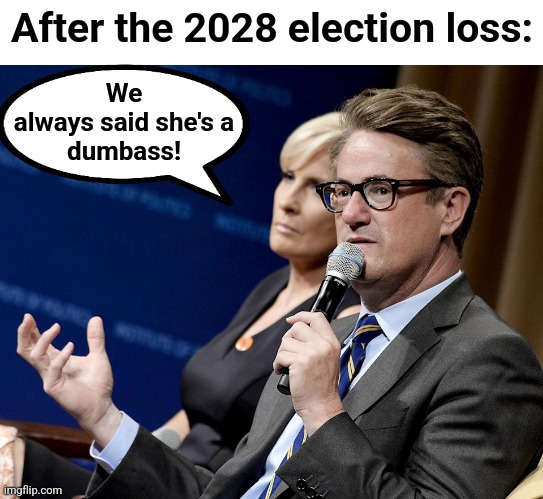 After the 2028 election loss: We
always said she's a
dumbass! | made w/ Imgflip meme maker