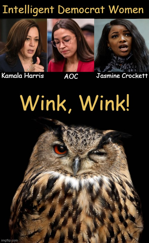 Female Democrats vs Wise Owl Blank Meme Template