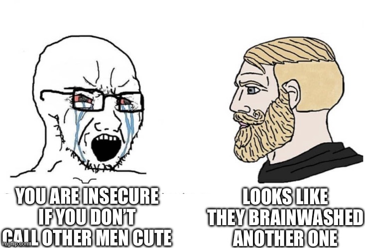 Cute Men | LOOKS LIKE THEY BRAINWASHED ANOTHER ONE; YOU ARE INSECURE IF YOU DON’T CALL OTHER MEN CUTE | image tagged in soyboy vs yes chad | made w/ Imgflip meme maker