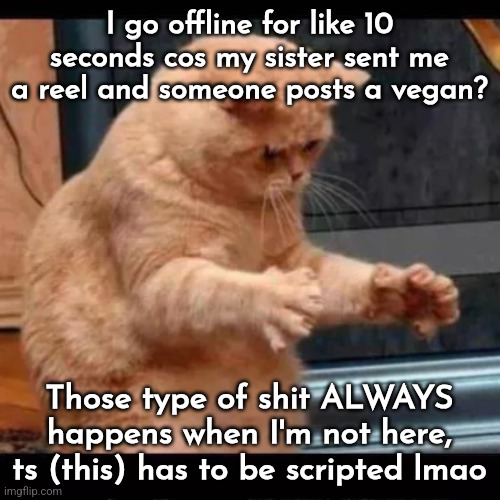 cat aliens | I go offline for like 10 seconds cos my sister sent me a reel and someone posts a vegan? Those type of shit ALWAYS happens when I'm not here, ts (this) has to be scripted lmao | image tagged in cat aliens | made w/ Imgflip meme maker