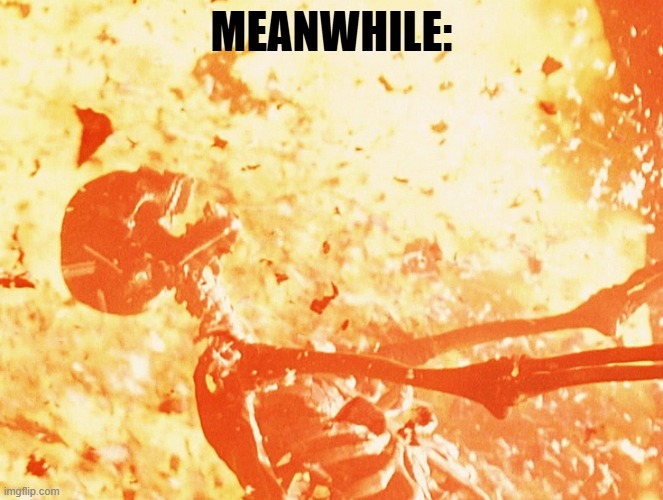 Fire skeleton | MEANWHILE: | image tagged in fire skeleton | made w/ Imgflip meme maker