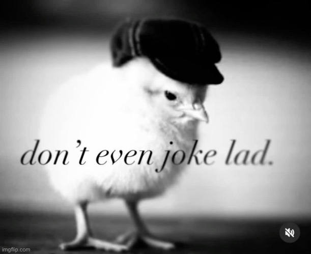 Back in the UK. Feels good to be back into a shit hole gng | made w/ Imgflip meme maker
