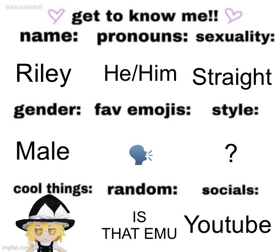 get to know me but better | He/Him; Riley; Straight; 🗣️; ? Male; Youtube; IS THAT EMU | image tagged in get to know me but better | made w/ Imgflip meme maker