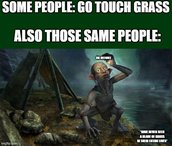 Gollum Cave | SOME PEOPLE: GO TOUCH GRASS; ALSO THOSE SAME PEOPLE:; THE INTERNET; *HAVE NEVER SEEN A BLADE OF GRASS IN THEIR ENTIRE LIVES* | image tagged in gollum cave,touch grass,online,internet | made w/ Imgflip meme maker