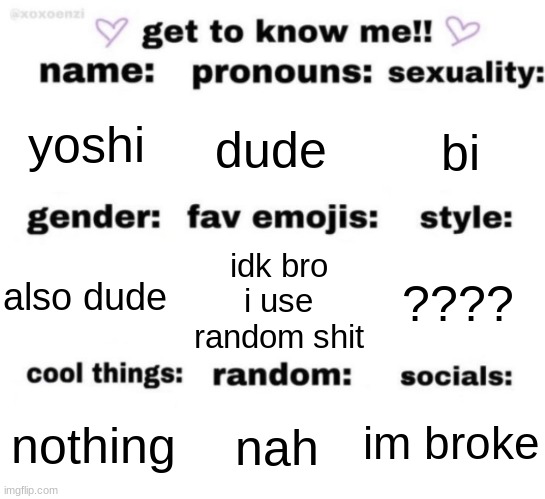 get to know me but better | yoshi; dude; bi; idk bro i use random shit; ???? also dude; im broke; nah; nothing | image tagged in get to know me but better | made w/ Imgflip meme maker