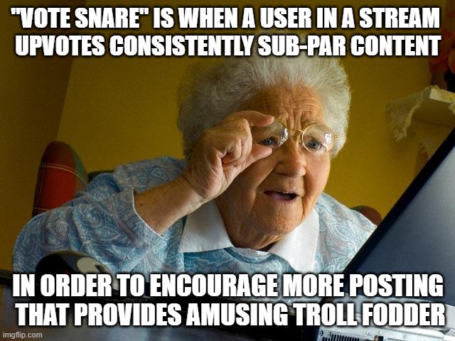 of course this is entirely specious and ironic and not taken seriously [THOUGH DO FEEL BAD FOR SOME] | "VOTE SNARE" IS WHEN A USER IN A STREAM 
UPVOTES CONSISTENTLY SUB-PAR CONTENT; IN ORDER TO ENCOURAGE MORE POSTING
 THAT PROVIDES AMUSING TROLL FODDER | image tagged in memes,grandma finds the internet | made w/ Imgflip meme maker