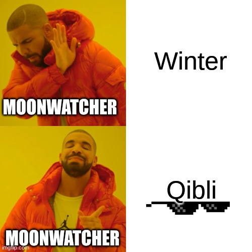 Drake Hotline Bling Meme | Winter; MOONWATCHER; Qibli; MOONWATCHER | image tagged in memes,drake hotline bling | made w/ Imgflip meme maker