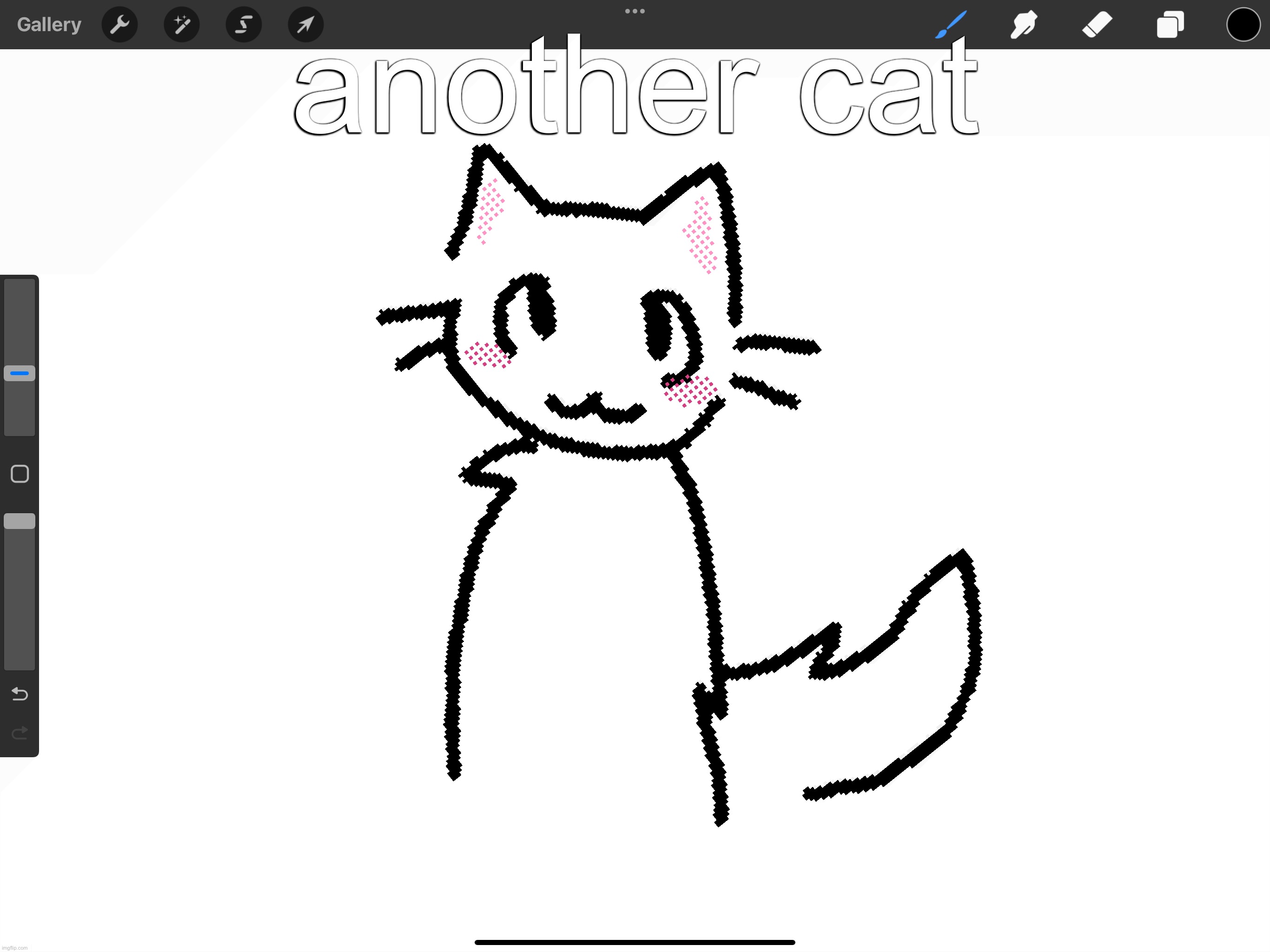 another cat | made w/ Imgflip meme maker