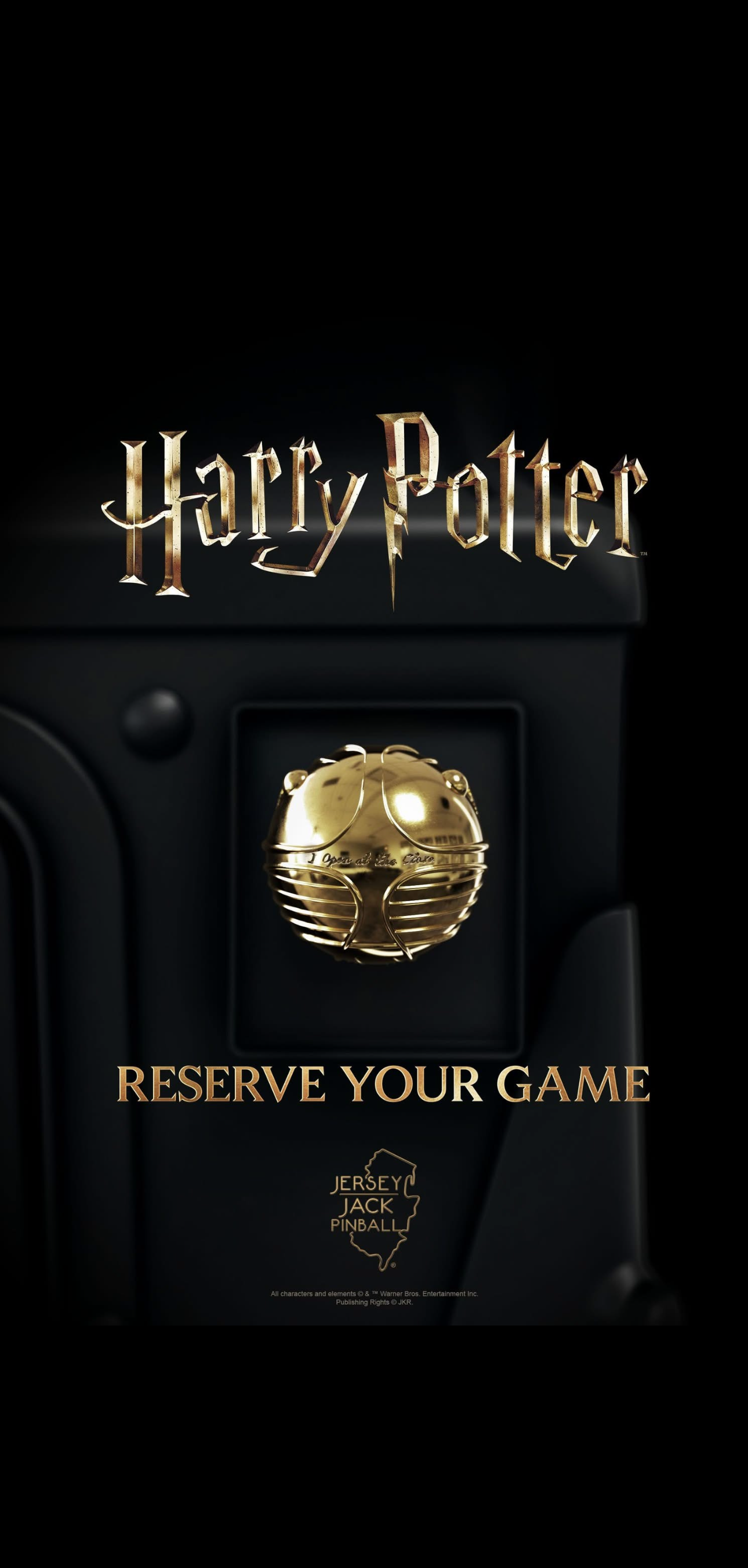 Harry potter pinball Blank Meme Template
