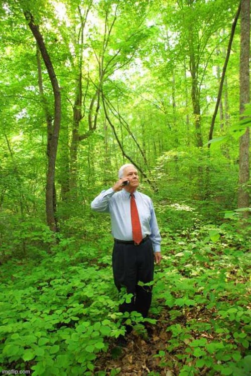 Lost in the Woods | image tagged in lost in the woods | made w/ Imgflip meme maker